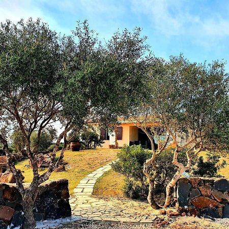 Villini Cortesas Orosei Exteriér fotografie